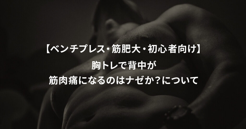 胸トレで背中が筋肉痛になるのはナゼか？について【ベンチプレス・筋肥大・初心者向け】