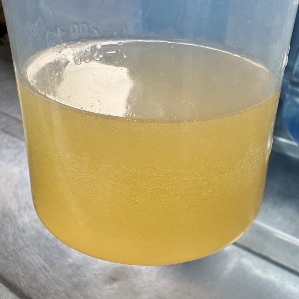 水200mlに溶かした状態（オレンジ風味）
