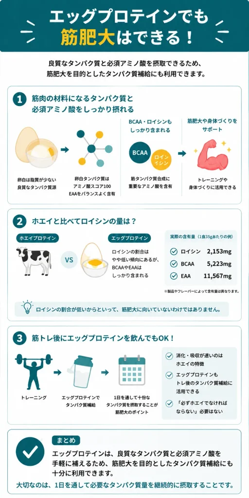 エッグプロテインを筋肥大目的で活用できる理由